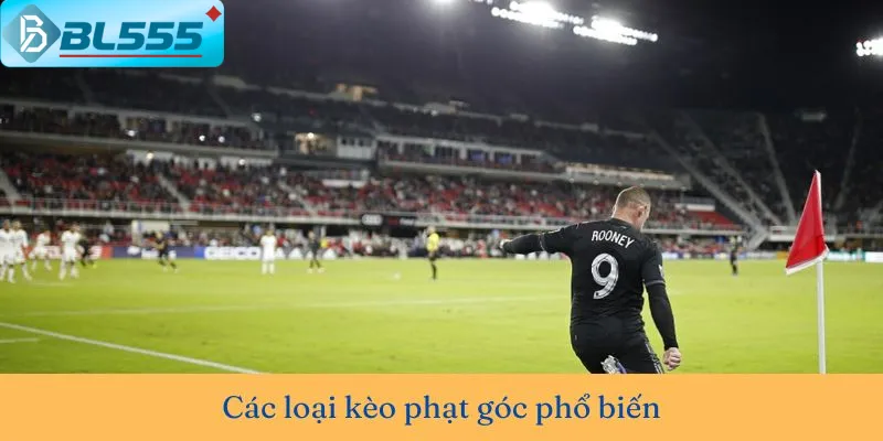Cách Đọc Kèo Phạt Góc Live bet kèo phạt góc phút 85 - cơ hội ăn dày nhất tại BL555