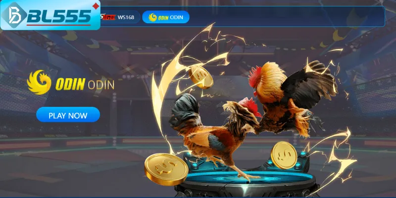 Đá Gà BL555 - Xem Trực Tiếp & Cá Cược Chuẩn Trường Thổ 2025 Biểu đồ vốn tăng từ 10 → 156 triệu nhờ quản lý vốn đá gà BL555